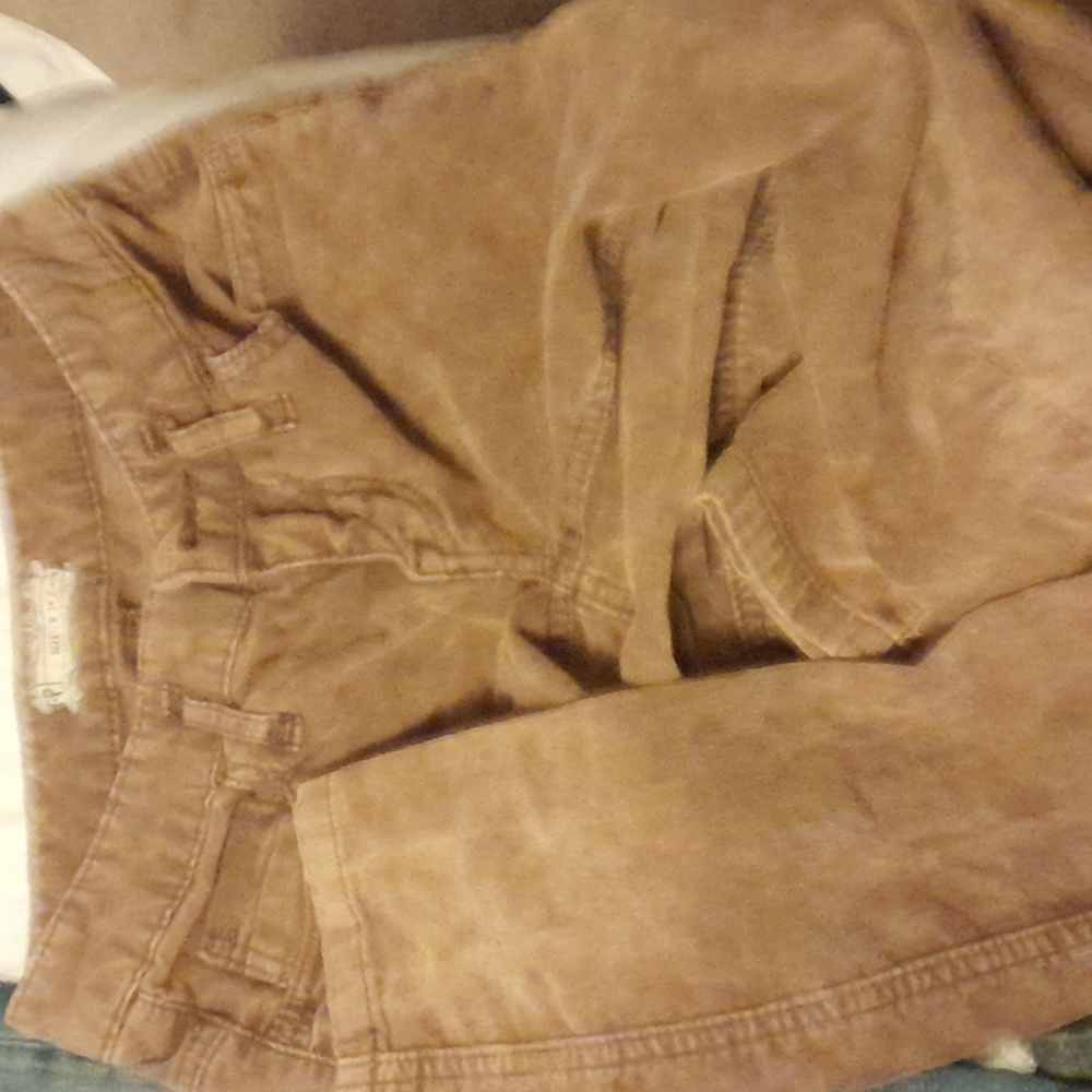 - - Free People Cords dark brown